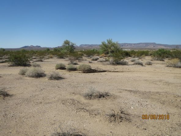Lot 36A& Douglas Ln: Douglas Ln, Yucca, AZ 86438